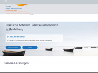 schmerztherapie-palliativmedizin.de Webseite Vorschau