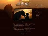 reinzucht-haflinger.com Webseite Vorschau