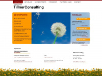 Tillner-consulting.de