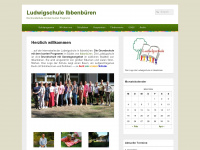 ludwigschule.com