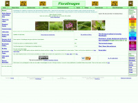 floralimages.co.uk