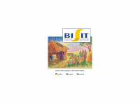 bisit-group.com