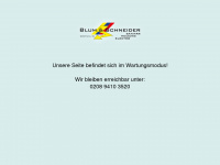 blum-schneider.de Webseite Vorschau