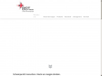 bst-rinklin.de Webseite Vorschau