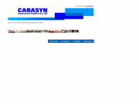 carasyn.de Webseite Vorschau