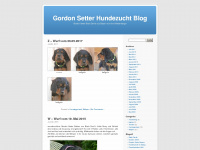 gordon-setter-hundezucht.de Webseite Vorschau