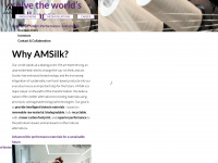 amsilk.com Webseite Vorschau