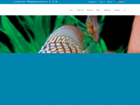 aquarium-munster.com Webseite Vorschau
