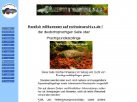 nothobranchius.de Webseite Vorschau