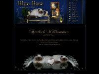 bluebase-katzen.de Webseite Vorschau