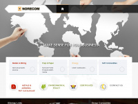 norecom.com Webseite Vorschau