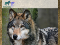 wolfsliebe.de Webseite Vorschau