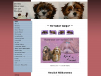 kleinhunde-havaneser.de Webseite Vorschau
