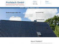 profidach.com Webseite Vorschau