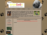 braindogz-sh.de Webseite Vorschau