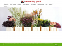wesseling-gmbh.de Thumbnail