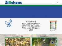 zillekens.com Webseite Vorschau