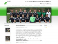 tvsteinheim-fussball.de Webseite Vorschau