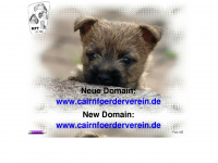 cairn-foerderverein.de Webseite Vorschau