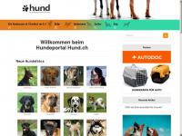 hund.ch Webseite Vorschau