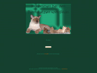 burmacats.de Webseite Vorschau