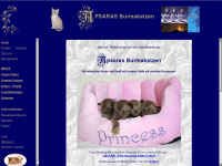 apsaras-burmakatzen.de Webseite Vorschau