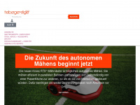 freiberger-stiger.at Webseite Vorschau