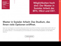 masterinsozialerarbeit.ch Webseite Vorschau