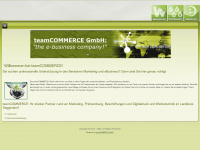 teamcommerce.de Webseite Vorschau