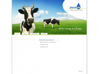 plurevis.com Webseite Vorschau