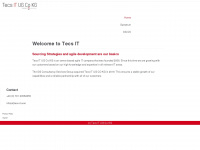 tecs-it.com Webseite Vorschau