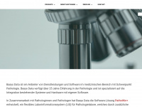 basysdata.ch Webseite Vorschau