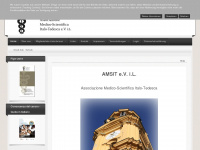 amsit.net Webseite Vorschau