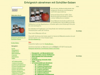 erfolgreich-abnehmen-mit-schuessler-salzen.de Webseite Vorschau
