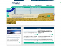 coface.cl Webseite Vorschau