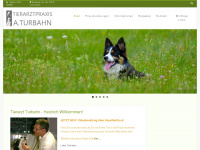 turbahn.com Webseite Vorschau