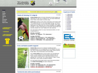 tsv-leitershofen-fussball.de Webseite Vorschau