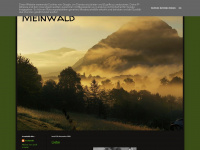 Meinwald.blogspot.com