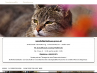 katzenbetreuung-wien.at Webseite Vorschau