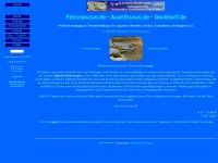 petrosaurus.de Webseite Vorschau