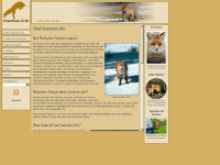 foxes.de Webseite Vorschau