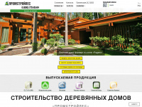 pslcomp.ru Webseite Vorschau