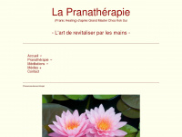 pranatherapie.org Webseite Vorschau