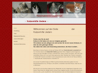 katzenhilfeuedem.de Webseite Vorschau