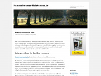 kamineinsaetze-heizkamine.de Webseite Vorschau