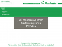 murlasits.info Webseite Vorschau