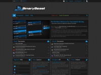 binarybeast.com Webseite Vorschau