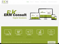 ekm-consult.de Webseite Vorschau