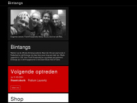 bintangs.nl Webseite Vorschau