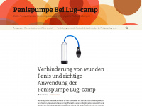 lug-camp-2010.de Webseite Vorschau